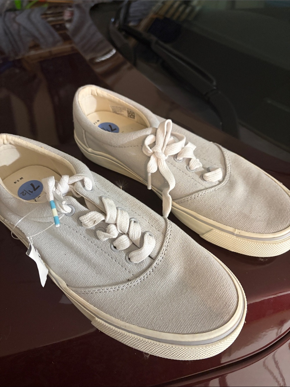 Toms Women's Canvas Sneakers in Light Gray and Off-White